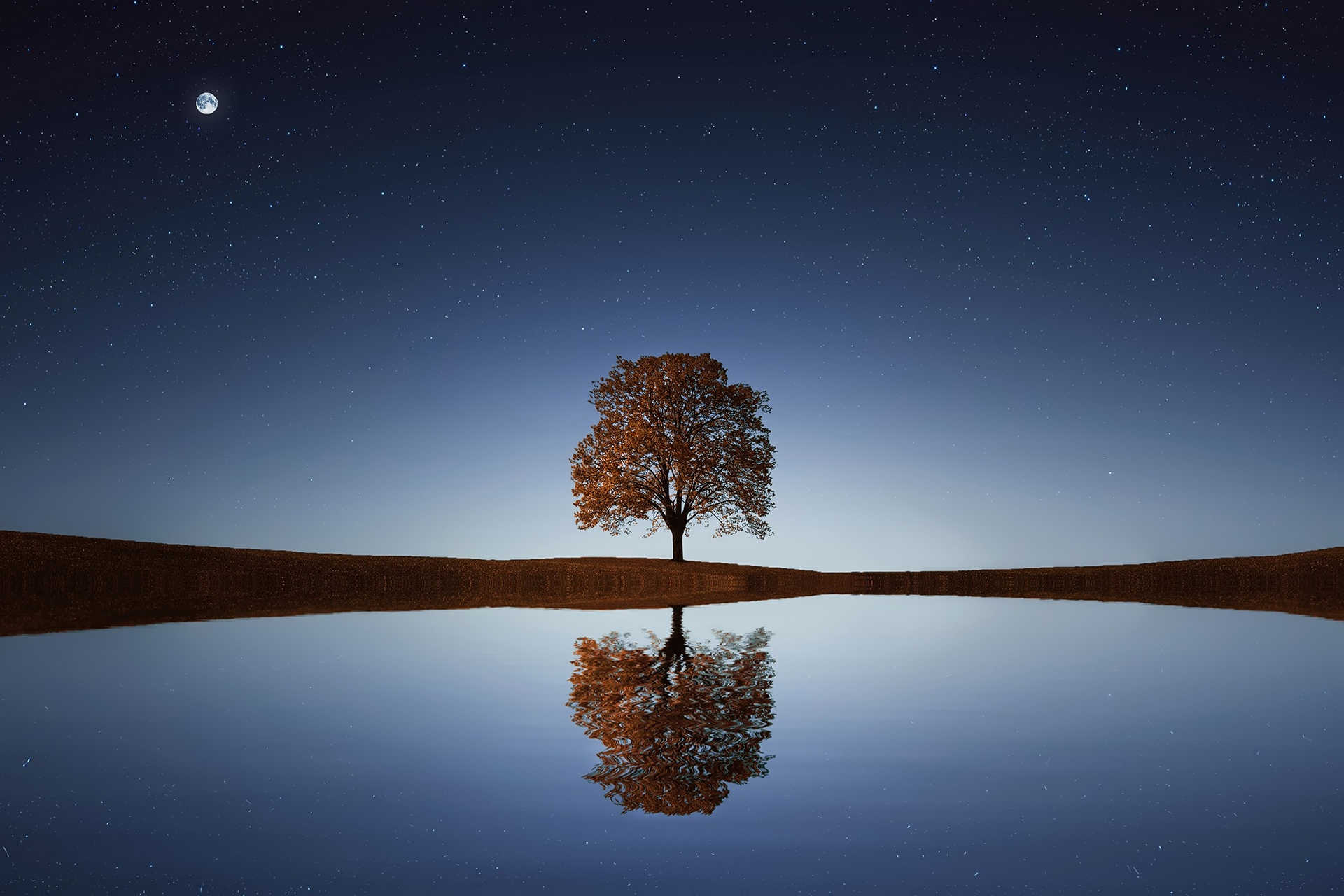 Expansion of Consciousness